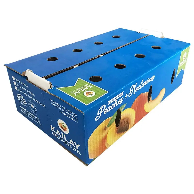 Corrugated Cardboard Fruit & Vegetable Box
