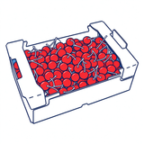 Fruit Vegetable Corrugated Packaging Box